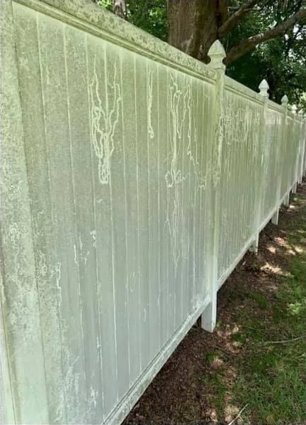 Dirty deck before cleaning